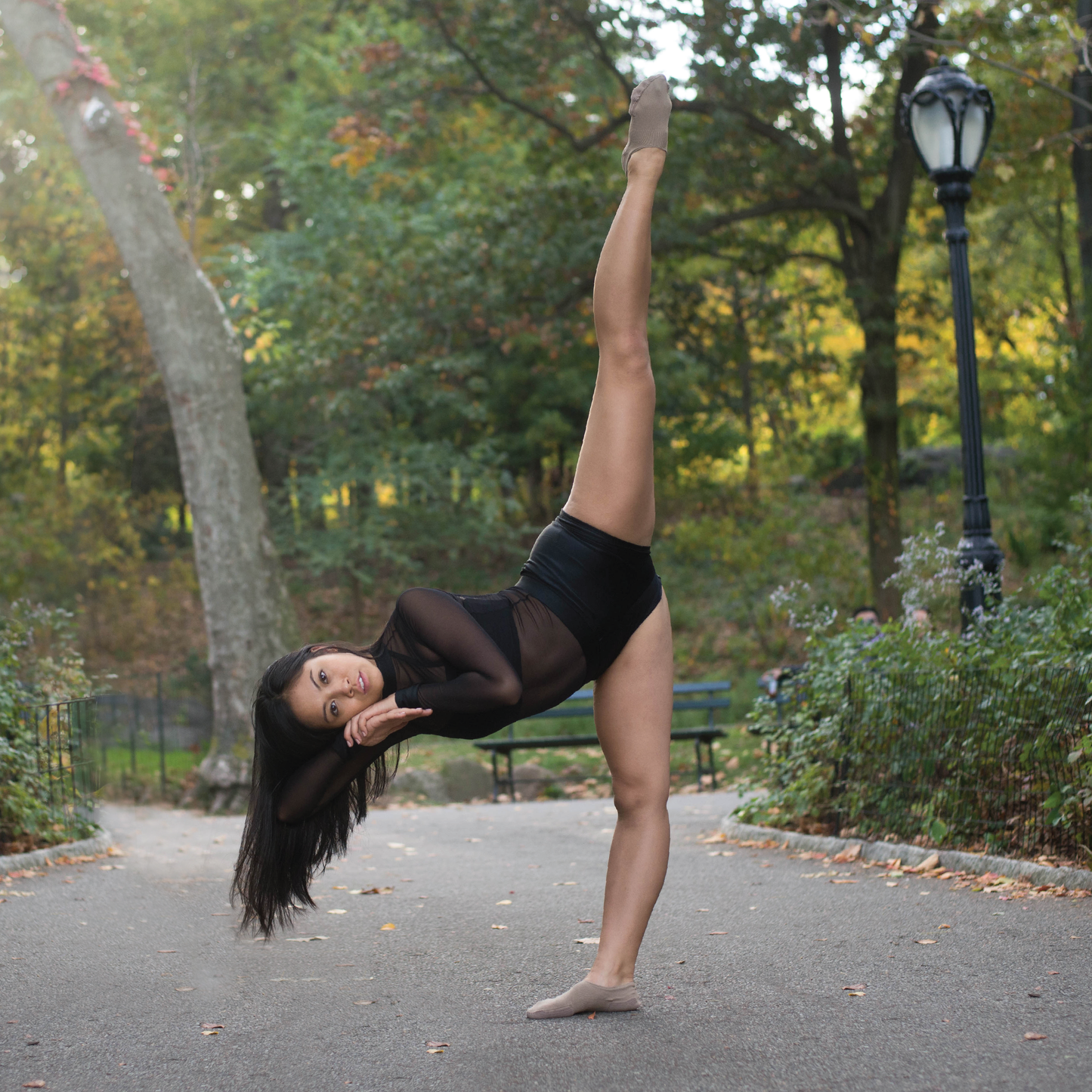 Apolla "The AMP Shock" With Traction